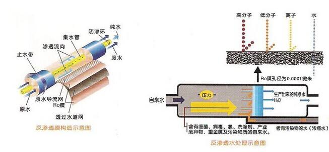 中小型工业反渗透粉色视频网址